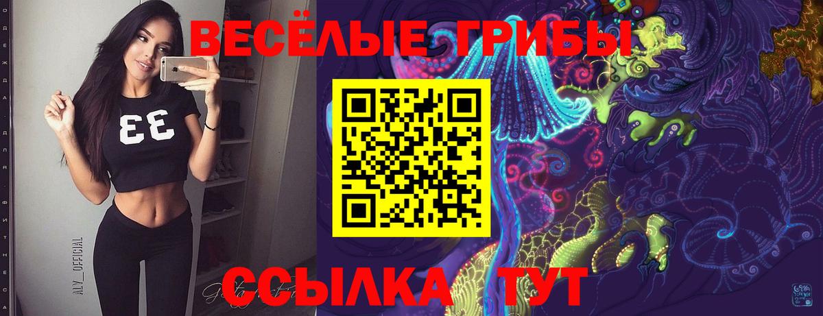 Псилоцибиновые грибы MAGIC MUSHROOMS  Вход с VPN  Галлюциногенные грибы GOLDEN TEACHER  Оренбург 